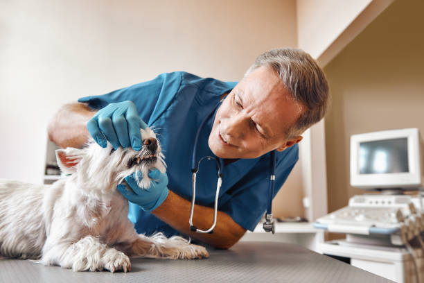 Best Emergency Treatment for Dental Infections or Abscesses in Brownsburg, IN